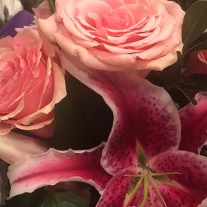 Meet your Posher, Vicki